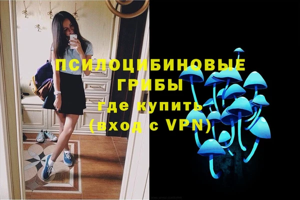 прущие крисы Балахна