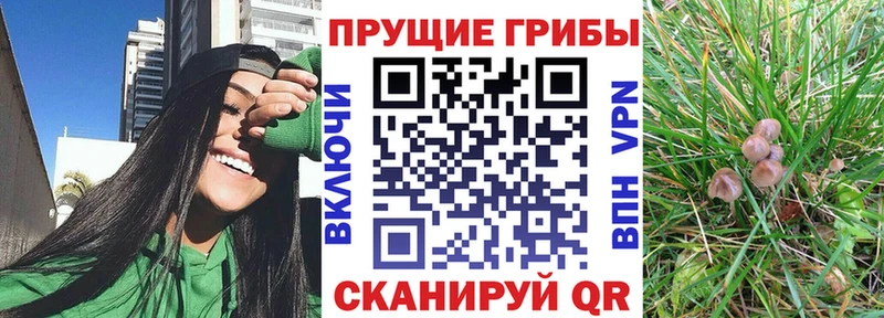 МЕГА онион Лахденпохья Галлюциногенные грибы Cubensis